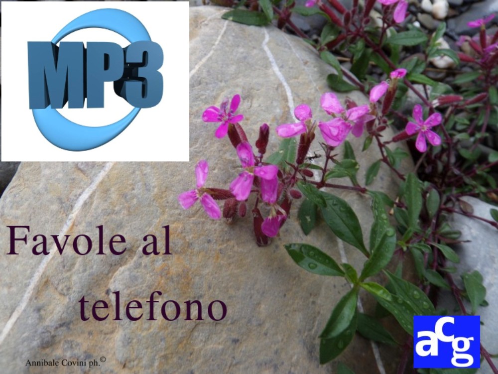 Il Cacciatore sfortunato da Favole al telefono di Gianni Rodari edito da Einaudi;  
voce di Annibale Covini Gerolamo