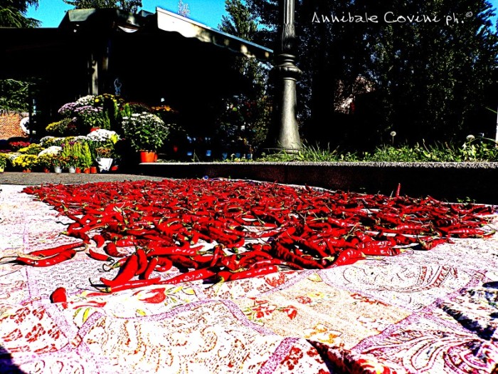 Milano, Cimitero Monumentale, 
 foto scattata nel 2022 
 da Annibale Covini ©