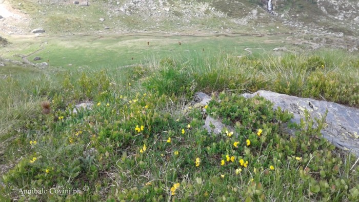 Alta Valbrembana Italia:  
foto di Annibale Covini