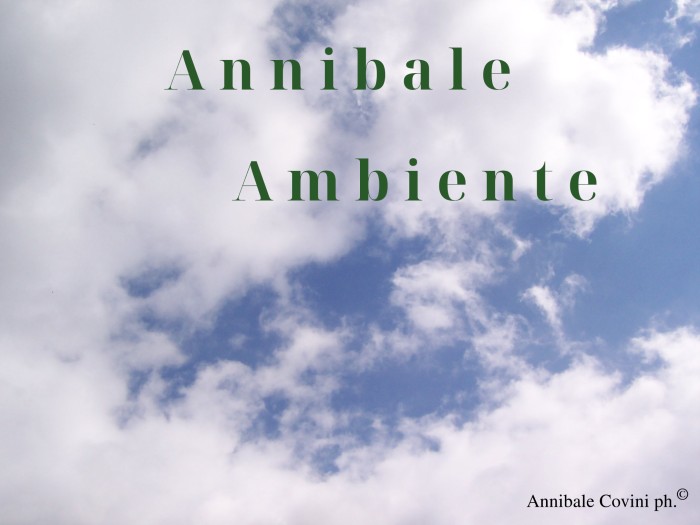 vai al sito dedicato 
allo AMBIENTE ed ECOLOGIA 
a cura di:
Annibale Covini 
 foto di Annibale Covini ©  