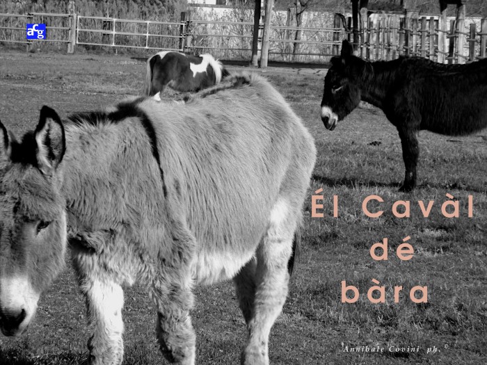 vai alla pagina dedicata alla 
poesia di Delio Tessa
 Él cavàl dé bàra