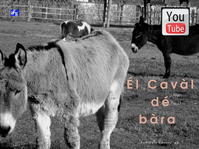 El Caval de bara on Youtube
di Delio Tessa,
poesie di Delio Tessa in pubblico Dominio; 
filmato di 10 minuti,
recitato in dialetto milanese da:
Annibale Covini Gerolamo voice 
protected with Creative Commons
 4.0 International BY NC ND attributes. 
 Musiche sottofondo da Youtube gallery 
(no attributions required... thanks!)