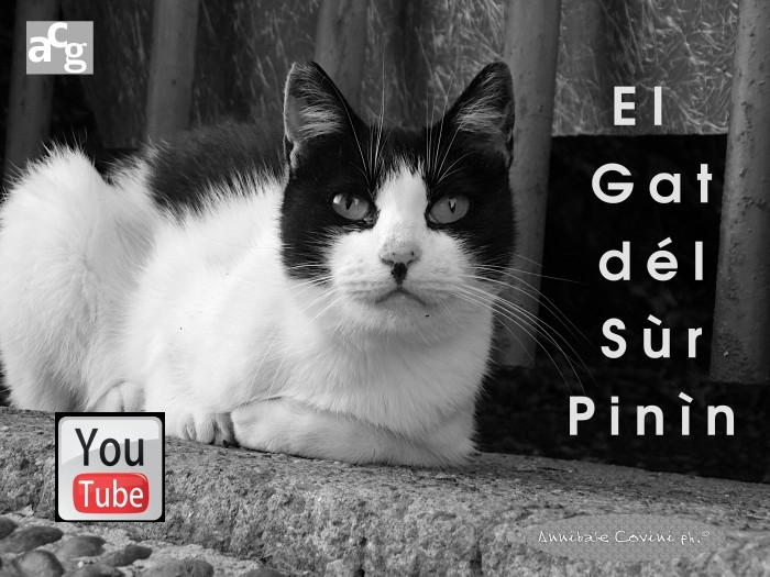 El Gat del Sur Pinin on Youtube
di Delio Tessa,
poesie di Delio Tessa in pubblico Dominio; 
filmato di 14 minuti,
recitato in dialetto milanese da:
Annibale Covini Gerolamo voice 
protected with Creative Commons
 4.0 International BY NC ND attributes. 
 Musiche sottofondo da Youtube gallery
  Blue Mood  of Robert Munzinger
(no attributions required... thanks!)
