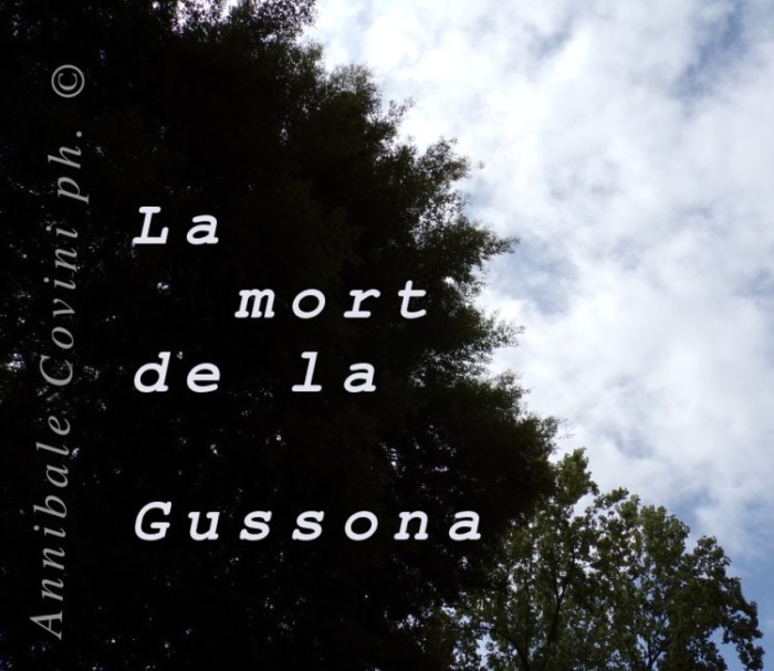 vai a vedere 
  la pagina dedicata alla
  poesia di Delio Tessa:
  La mòrt dé la Guessòna