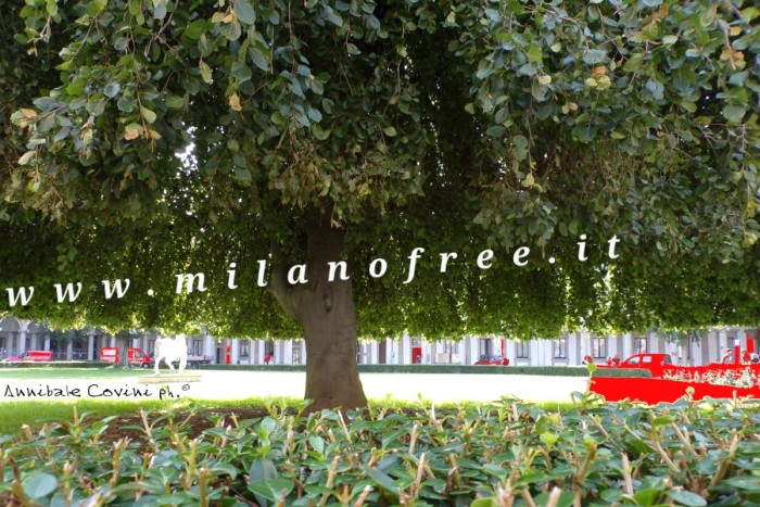 alla pagina 
 www.milanofree.it